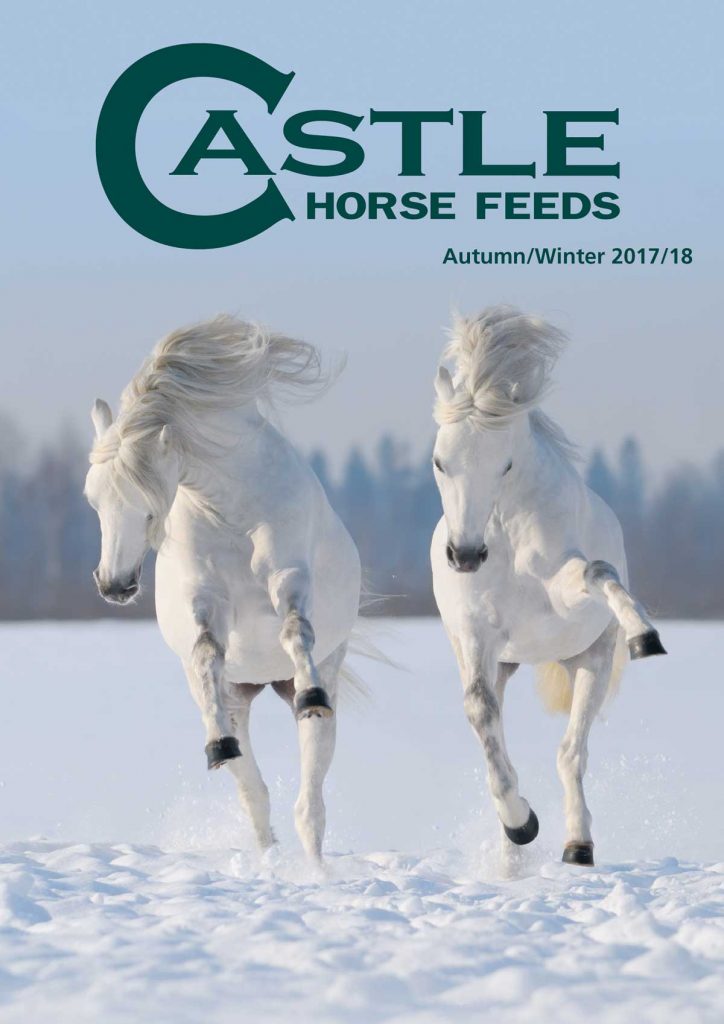 Castle Horse Feeds brochure