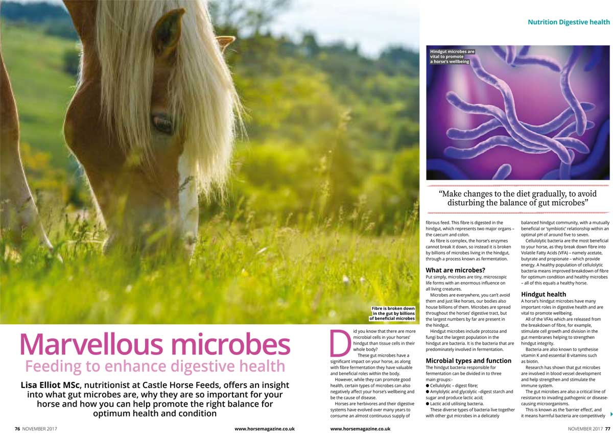 Marvellous microbes – Castle Horse Feeds