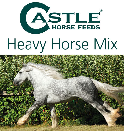 Heavy Horse Mix